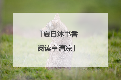 夏日沐书香 阅读享清凉