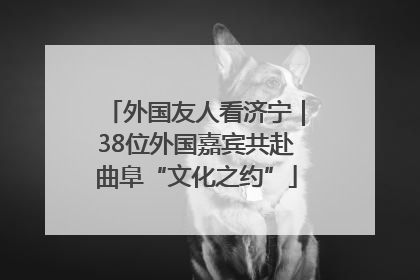 外国友人看济宁｜38位外国嘉宾共赴曲阜“文化之约”