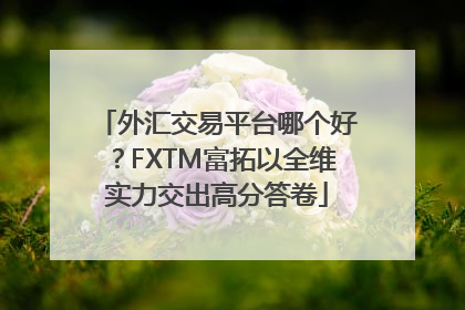外汇交易平台哪个好？FXTM富拓以全维实力交出高分答卷