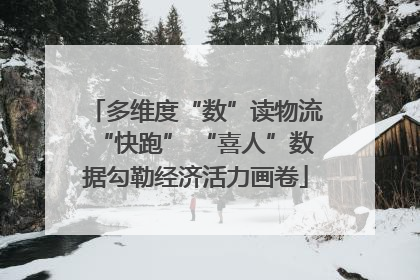 多维度“数”读物流“快跑” “喜人”数据勾勒经济活力画卷