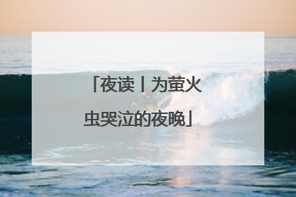 夜读丨为萤火虫哭泣的夜晚