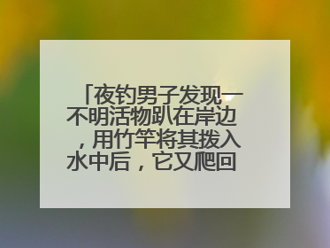 夜钓男子发现一不明活物趴在岸边，用竹竿将其拨入水中后，它又爬回岸边……