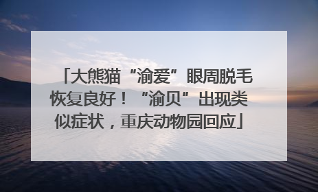 大熊猫“渝爱”眼周脱毛恢复良好！“渝贝”出现类似症状，重庆动物园回应