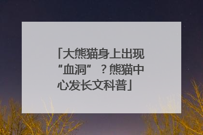 大熊猫身上出现“血洞”？熊猫中心发长文科普
