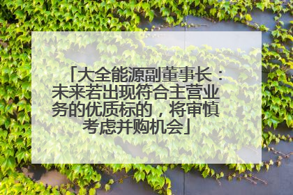 大全能源副董事长：未来若出现符合主营业务的优质标的，将审慎考虑并购机会