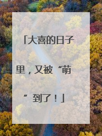 大喜的日子里，又被“萌”到了！