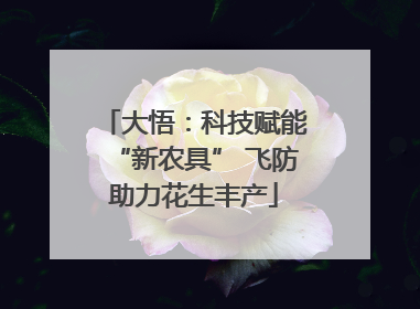 大悟：科技赋能“新农具” 飞防助力花生丰产