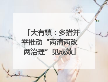 大有镇：多措并举推动“两清两改两治理”见成效