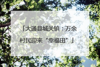 大通县城关镇：万余村民迎来“幸福田”