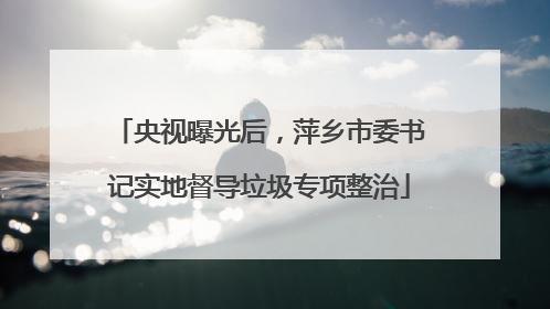 央视曝光后，萍乡市委书记实地督导垃圾专项整治