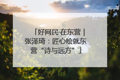 好网民·在东营｜张泽琦：匠心绘就东营“诗与远方”