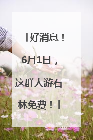 好消息！6月1日，这群人游石林免费！