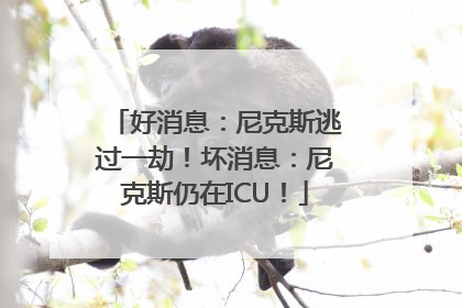 好消息：尼克斯逃过一劫！坏消息：尼克斯仍在ICU！