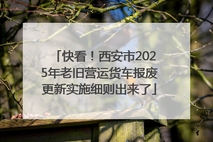 快看！西安市2025年老旧营运货车报废更新实施细则出来了