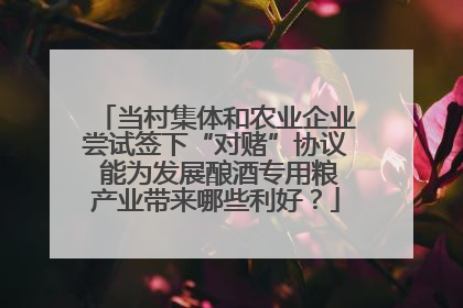 当村集体和农业企业尝试签下“对赌”协议 能为发展酿酒专用粮产业带来哪些利好？