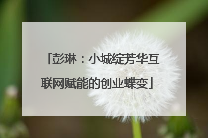 彭琳：小城绽芳华互联网赋能的创业蝶变