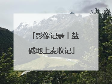 影像记录丨盐碱地上麦收记
