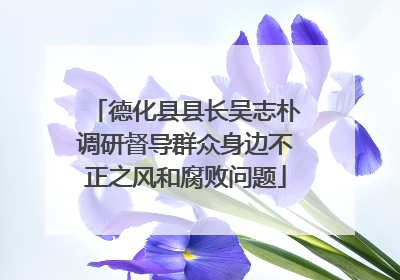 德化县县长吴志朴调研督导群众身边不正之风和腐败问题
