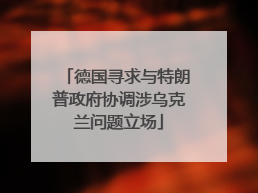 德国寻求与特朗普政府协调涉乌克兰问题立场