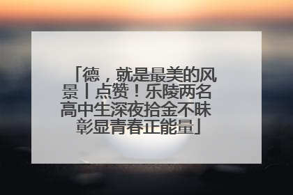 德，就是最美的风景丨点赞！乐陵两名高中生深夜拾金不昧 彰显青春正能量