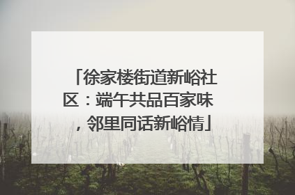 徐家楼街道新峪社区：端午共品百家味，邻里同话新峪情