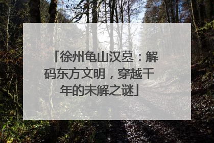 徐州龟山汉墓：解码东方文明，穿越千年的未解之谜