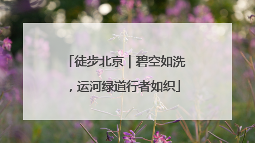 徒步北京｜碧空如洗，运河绿道行者如织