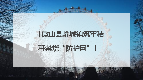微山县驩城镇筑牢秸秆禁烧“防护网”