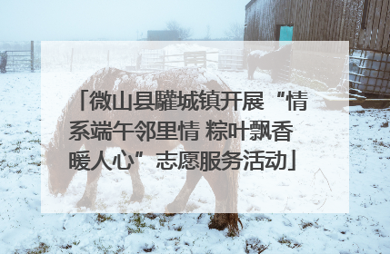 微山县驩城镇开展“情系端午邻里情 粽叶飘香暖人心”志愿服务活动