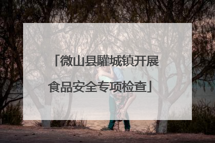 微山县驩城镇开展食品安全专项检查