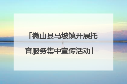 微山县马坡镇开展托育服务集中宣传活动