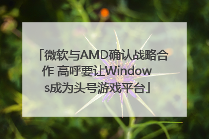 微软与AMD确认战略合作 高呼要让Windows成为头号游戏平台