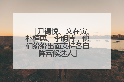 尹锡悦、文在寅、朴槿惠、李明博，他们纷纷出面支持各自阵营候选人