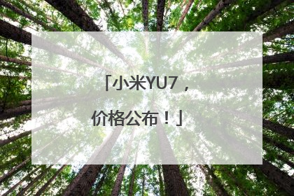 小米YU7，价格公布！