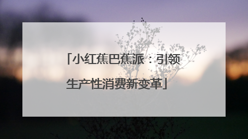 小红蕉巴蕉派：引领生产性消费新变革
