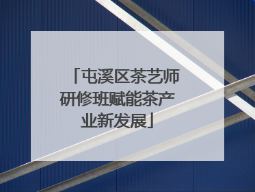 屯溪区茶艺师研修班赋能茶产业新发展