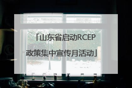山东省启动RCEP政策集中宣传月活动