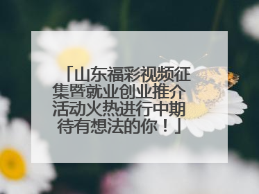 山东福彩视频征集暨就业创业推介活动火热进行中期待有想法的你！