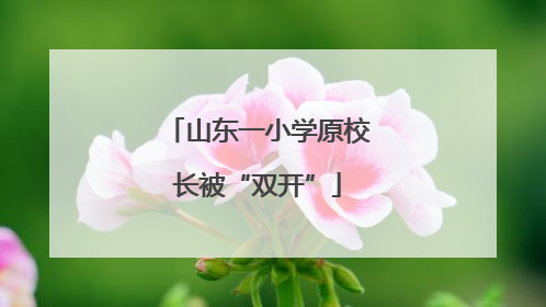 山东一小学原校长被“双开”