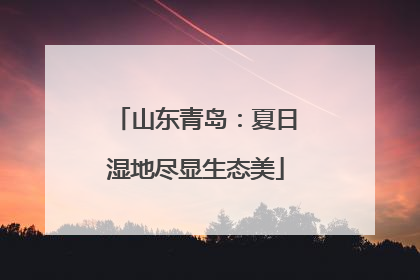 山东青岛：夏日湿地尽显生态美