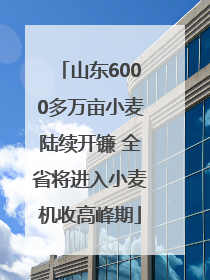 山东6000多万亩小麦陆续开镰 全省将进入小麦机收高峰期