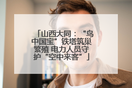 山西大同：“鸟中国宝”铁塔筑巢繁殖 电力人员守护“空中来客”