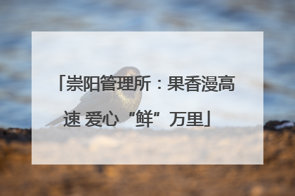 崇阳管理所：果香漫高速 爱心“鲜”万里