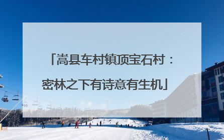嵩县车村镇顶宝石村：密林之下有诗意有生机