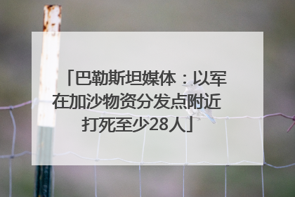 巴勒斯坦媒体：以军在加沙物资分发点附近打死至少28人
