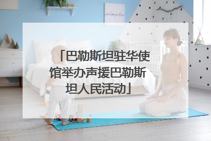 巴勒斯坦驻华使馆举办声援巴勒斯坦人民活动