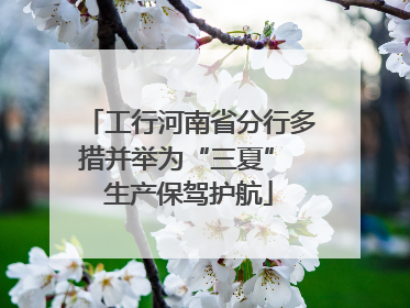 工行河南省分行多措并举为“三夏” 生产保驾护航