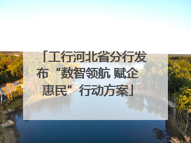 工行河北省分行发布“数智领航 赋企惠民”行动方案