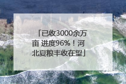 已收3000余万亩 进度96%！河北夏粮丰收在望