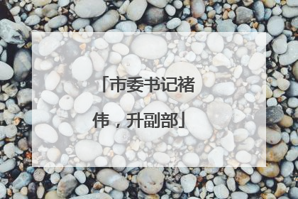 市委书记褚伟，升副部